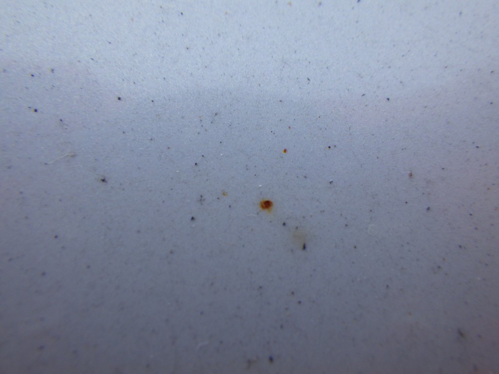 RIMG0526